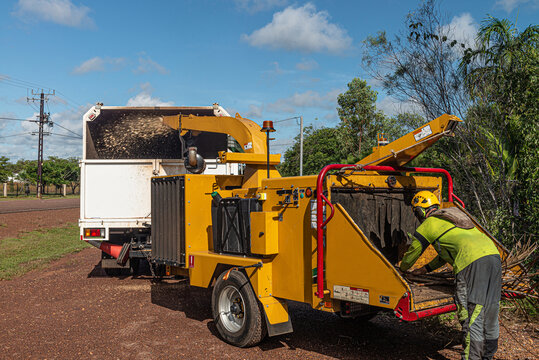 Arborist with wood chipper feeding branches through