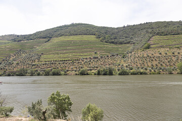 Vista do Vale do Douro em  Pinhão Portugal