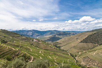 Vista do Vale do Douro em  Pinhão Portugal