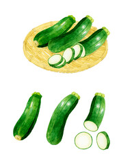ズッキーニのセット　夏野菜の手描き水彩イラスト素材集 - obrazy, fototapety, plakaty