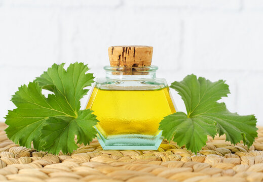 Small vintage bottle with essential geranium oil (pelargonium massage oil, tincture, infusion, extract). Aromatherapy, homemade spa and herbal medicine ingredients.