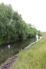 A river with trees on the side