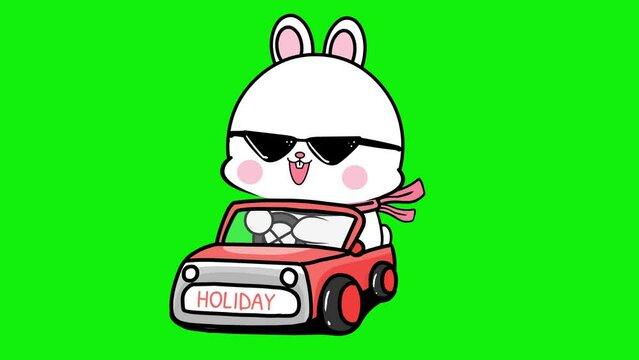 Animated Bunny Driving Car with Green Screen Background - Footage Animation