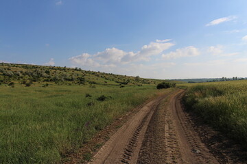 Fototapeta premium A dirt road through a field
