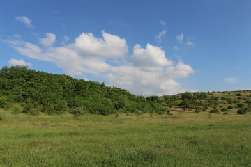 A grassy field with trees and blue sky