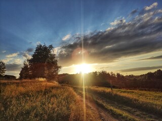 Sunbeams between clouds in the sky and woodland on a meadow in summer