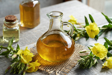 Evening primrose oil with fresh blooming Oenothera biennis plant