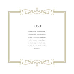 Decorative vector frame. Elegant element for design template, place for text. Floral border.