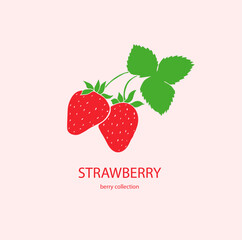 Strawberry, berry logo, red berries,  package design , strawberries illustration