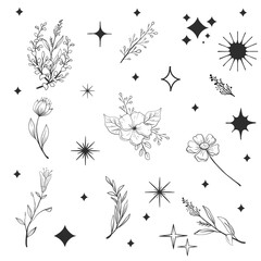 Flowers and stars PNG transparent background