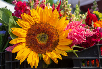 Sunflower and other cut flowers at a local market