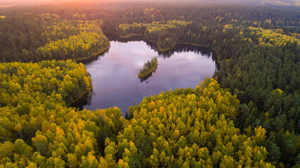 Aerial view of a forest lake in the morning