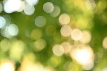 green blurred background, round bokeh out of focus 