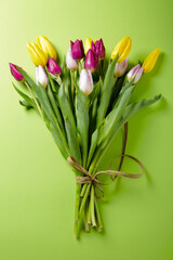 fresh tulips on green background spring