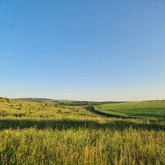 A grassy field with a blue sky