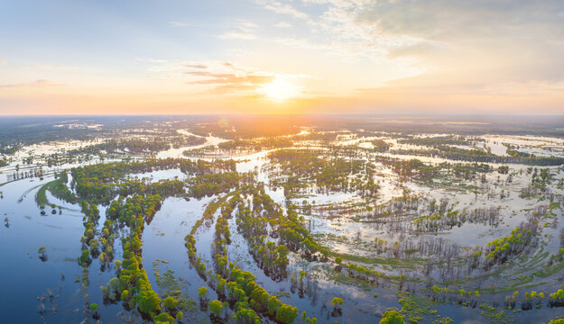 Floodplain of the river Prypiać during spring overflow