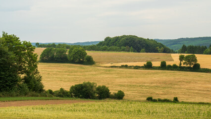 Obraz premium European Landscape in Summer 