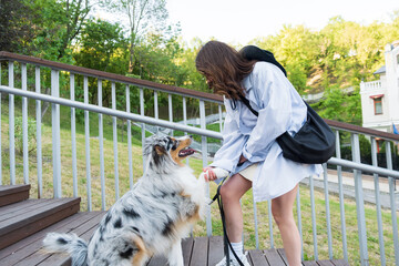 Young woman teaching her cute aussie dog "shake" command. Blue merle australian shepherd dog in urban park area next to female owner