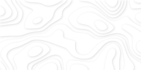 Abstract White paper cut background with lines.3d realistic papercut decoration textured with wavy layers. modern wallpaper texture and 3d realistic design use for banner flyers, posters.