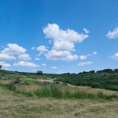 Fototapeta premium A grassy field with a fence and blue sky