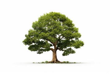 Whole tree with green leaves on isolated white background. Generated with AI technology.