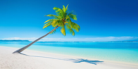 Fototapeta na wymiar Banner of idyllic tropical beach with white sand, palm tree and turquoise blue ocean