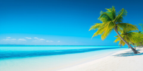Fototapeta na wymiar Banner of idyllic tropical beach with white sand, palm tree and turquoise blue ocean