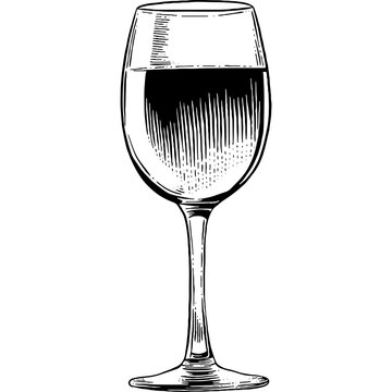 recommend clip art: Hand drawn Wine Glass Sketch Illustration