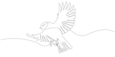bird line art style vector with transparent background
