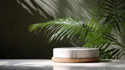 Original beautiful background image for presentations product with natural composition. Marble pedestal and green twigs on wooden base against wall with shadow of tropical leaves, --aspect 16:9