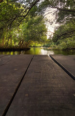 Obraz premium path in the park