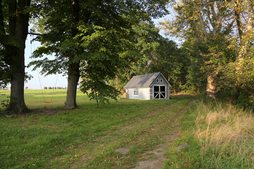 Little wooden cottage among trees