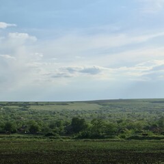 A landscape with trees and grass