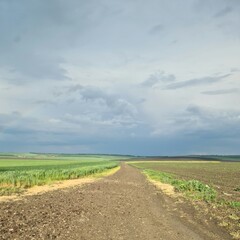 A dirt road leading to a field