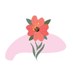 Floral Flower Illustration
