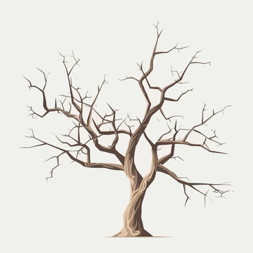Old dry tree vector isolated on white