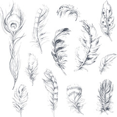 Vector feathers collection, set of 12 different falling fluffy twirled plumes, isolated on transparent background. Ink hand drawn sketched bird feathers.
