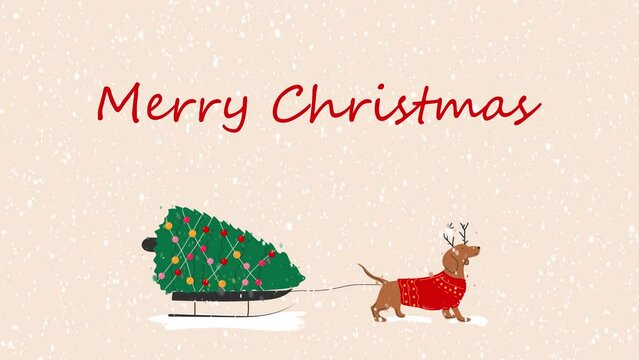 Dachshund dog pulls a Christmas tree on a sleigh with the inscription Merry Christmas. Video flat cartoon animation design element. 4K video footage, alpha channel transparency for web design