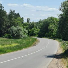 A road with trees on the side