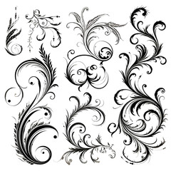 Set of Calligraphic Filigree Design Elements and Page Decorations