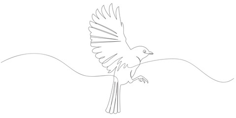 bird line art style illustration vector eps 10