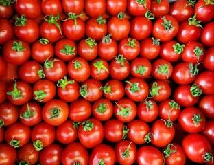red tomatoes background