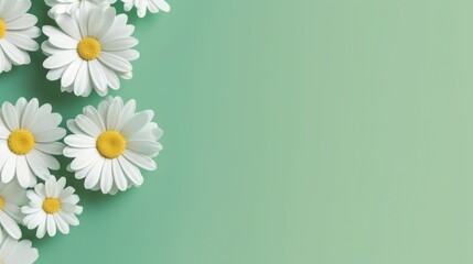 Daisies on Light Green Backdrop Mockup with Copy Space