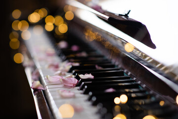 Vintage old grand piano with rose flower petals on keys with glowing lights closeup. Valentines Day.