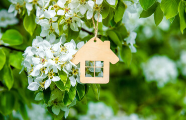 The symbol of the house among the branches of the pear
