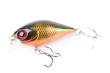 Plastic fishing lure isolated on white