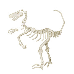 watercolor Dinosaur fossil