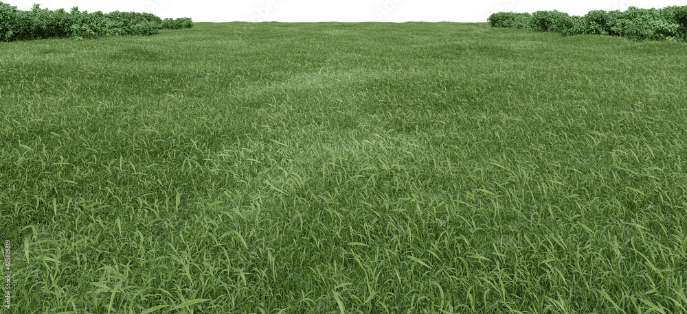 Fototapete realistic grass field with bushes. 3d rendering of isolated objects.