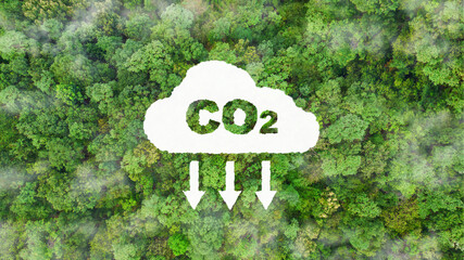 environment sustainable circular economy for future growth of business Carbon neutral and net zero environment A climate-neutral long-term strategy greenhouse gas emissions targets 