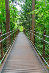 Obraz premium Bellevue Suspension Bridge 4